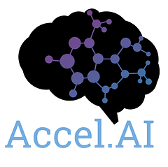 Accel AI Institute / LatinX in AI (LXAI) Org logo